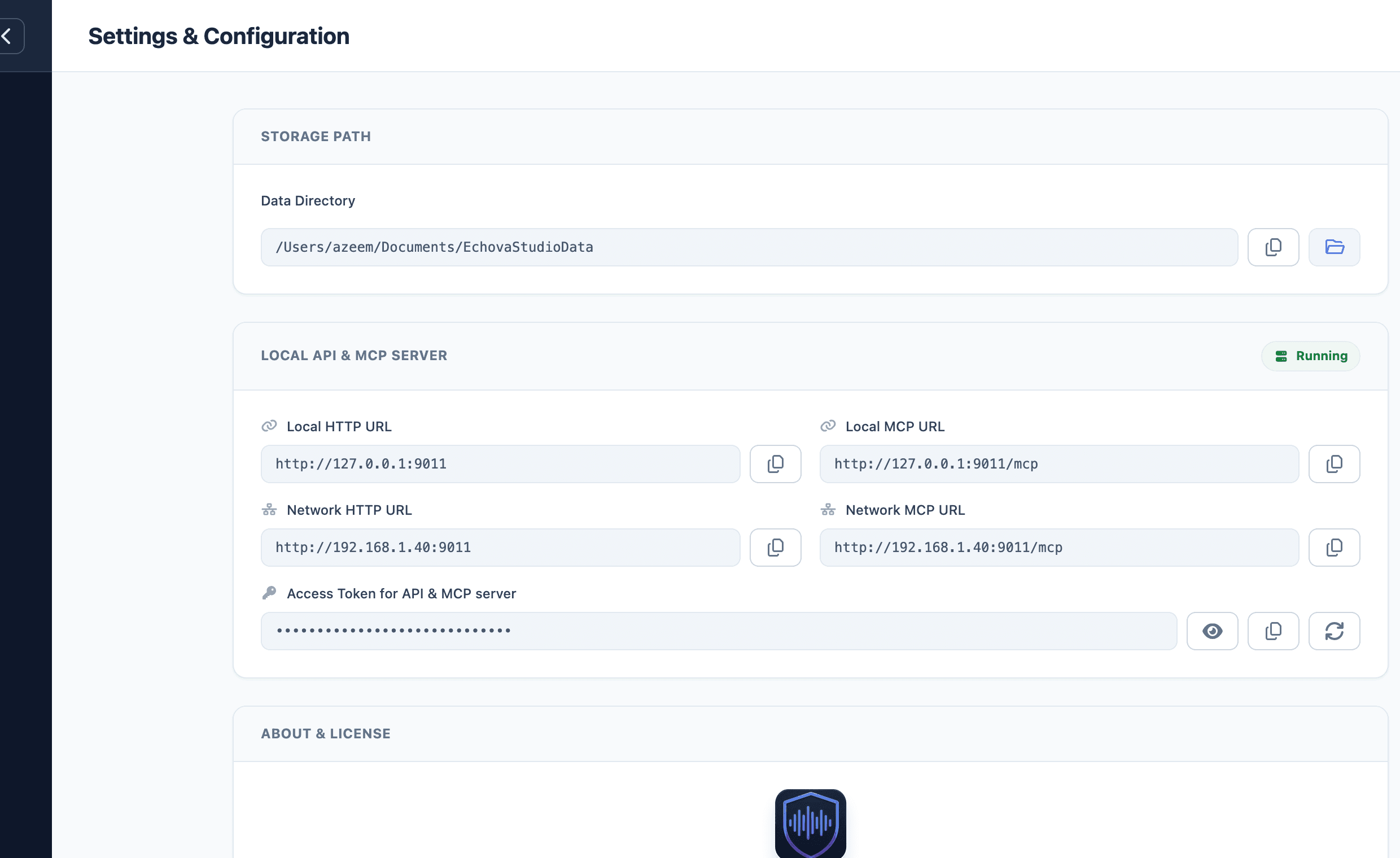Storage path and local API settings